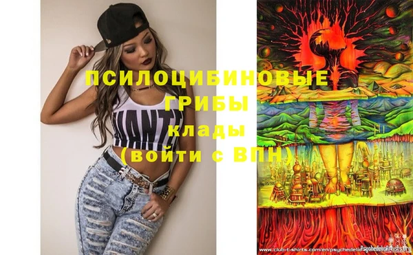 apvp Вязники