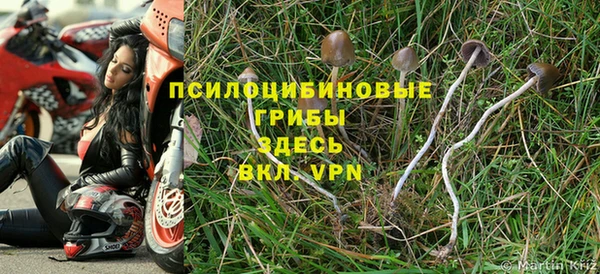 меф Вяземский