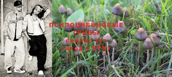 меф Вяземский