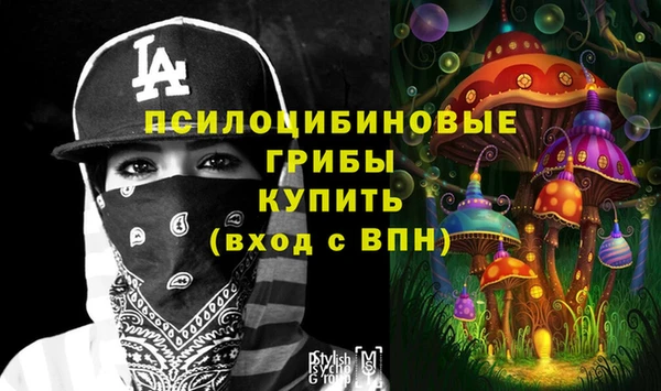 apvp Вязники